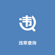 违章查询